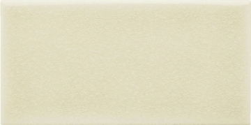 Picture of Adex USA - Ocean 3 x 6 Sand Dollar