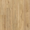Picture of Shaw Floors - Oak Grove Hazelwood