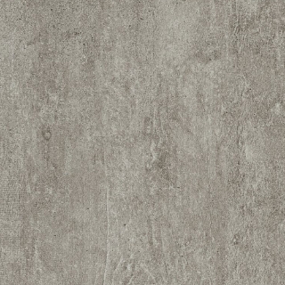 Picture of Armstrong - Alterna 12 x 24 Enchanted Forest Forest Fog