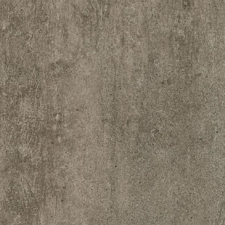 Picture of Armstrong - Alterna 12 x 24 Enchanted Forest Tender Twig