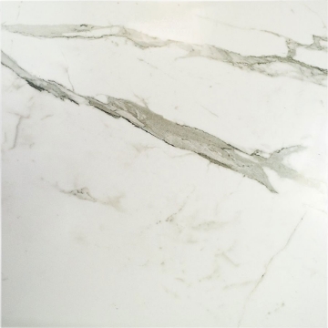 Picture of SOHO Studio Corp - Versilia 24 x 24 Matte Statuario Matte