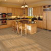 Picture of Mohawk - RevWood Essentials Carrolton Wheat Oak Strip