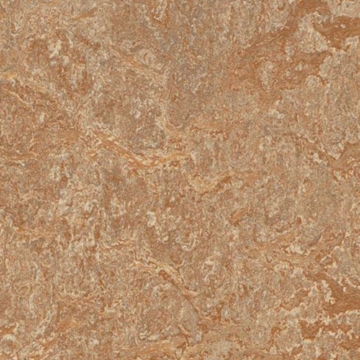 Picture of Forbo - Marmoleum Modular Marble 20 x 20 Shitake