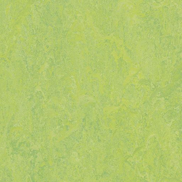 Picture of Forbo - Marmoleum Modular Color 10 x 10 Refreshing Green