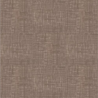 Picture of Next Floor - Invincible Tortoise