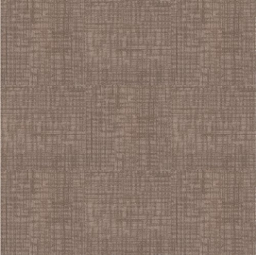 Picture of Next Floor - Invincible Tortoise