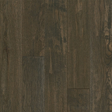 Picture of Bruce - Signature Scrape 5 Coastal Plain