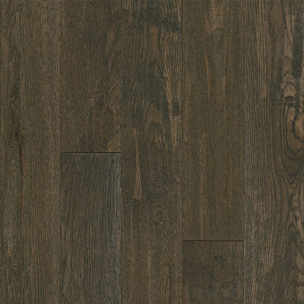 Picture of Bruce - Signature Scrape 5 Coastal Plain