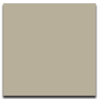 Picture of Johnsonite - Solid Colors Smooth 24 x 24 Beige