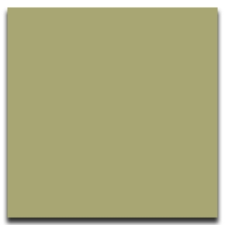Picture of Johnsonite - Solid Colors Smooth 24 x 24 Iguana
