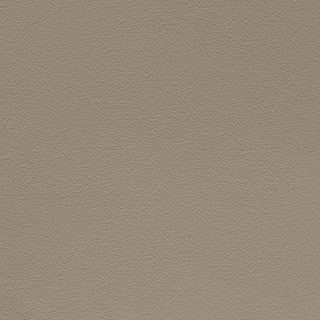 Picture of Johnsonite - Solid Colors Hammered Fawn