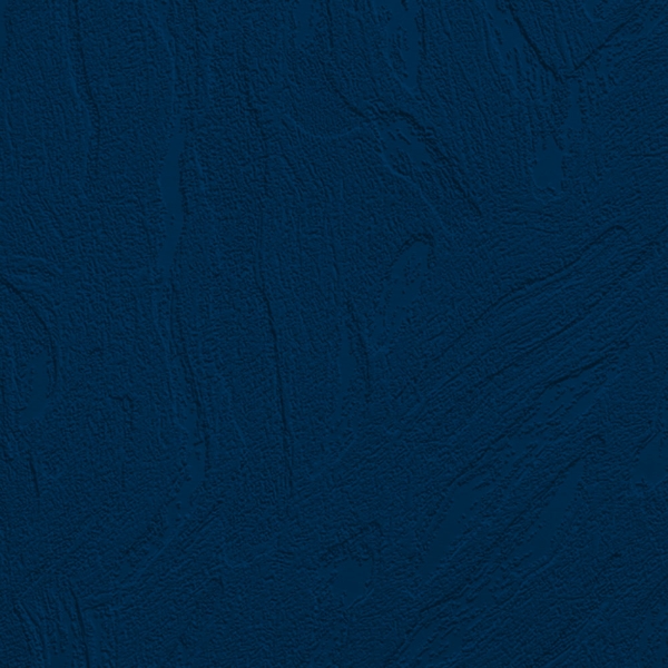 Picture of Johnsonite - Solid Colors Flagstone Navy Blue