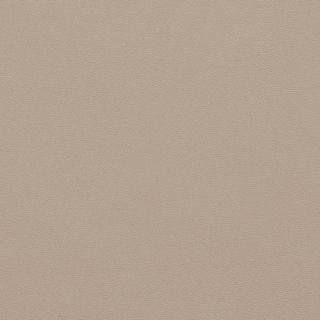 Picture of Johnsonite - Solid Colors Leather Beige