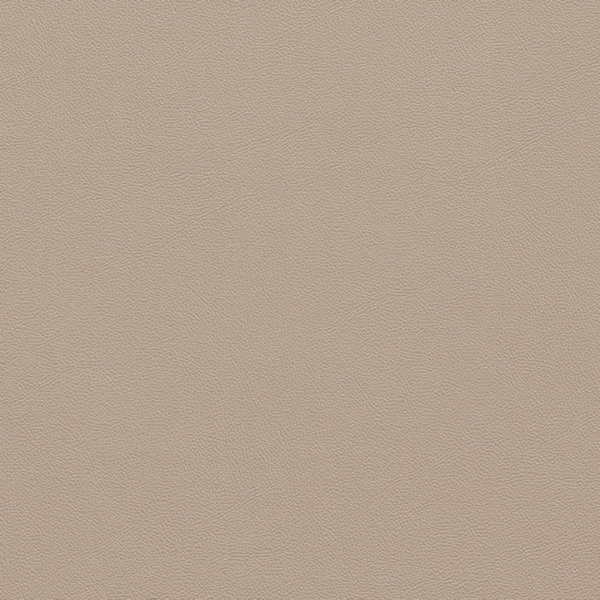 Picture of Johnsonite - Solid Colors Leather Beige
