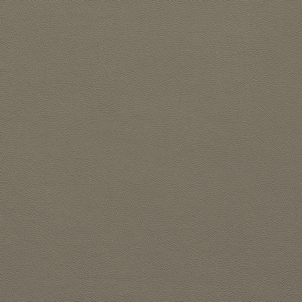 Picture of Johnsonite - Solid Colors Leather Grizzly