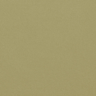 Picture of Johnsonite - Solid Colors Leather Iguana