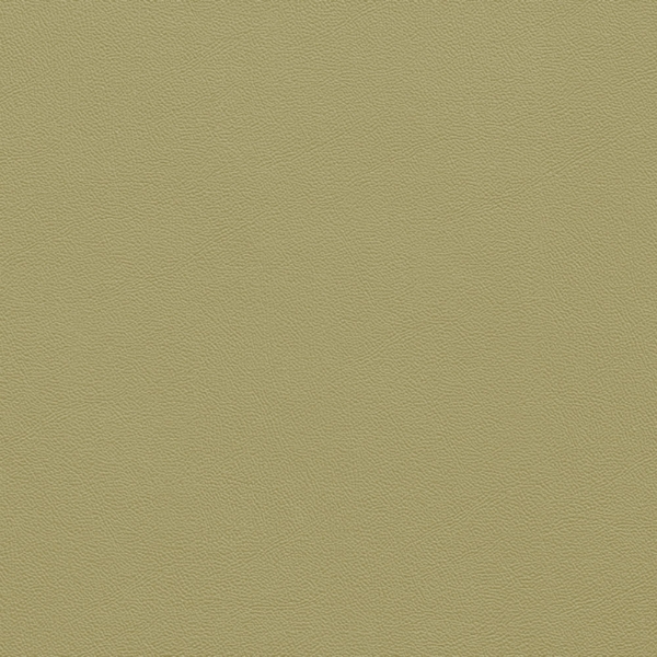 Picture of Johnsonite - Solid Colors Leather Iguana