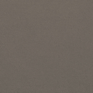 Picture of Johnsonite - Solid Colors Leather Moon Rock