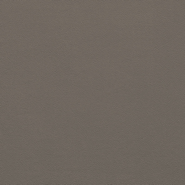 Picture of Johnsonite - Solid Colors Leather Moon Rock