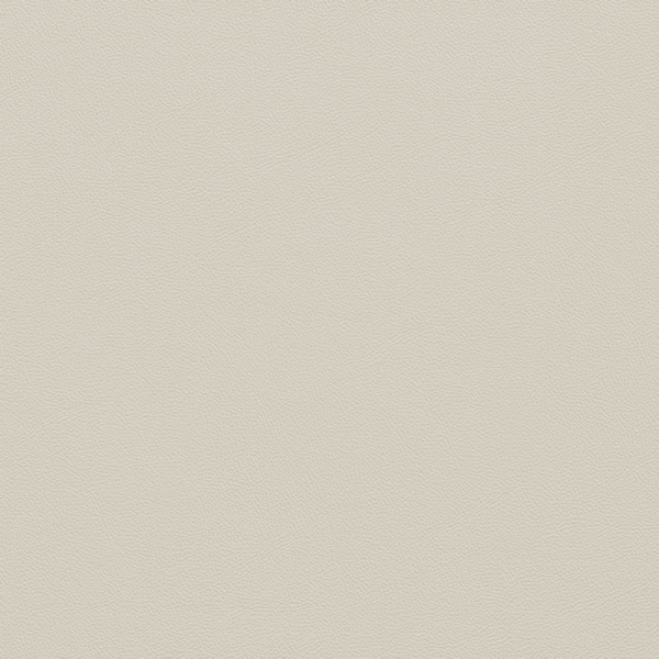 Picture of Johnsonite - Solid Colors Leather Pearl