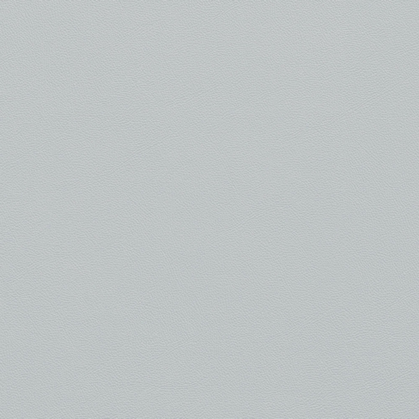 Picture of Johnsonite - Solid Colors Leather Platinum