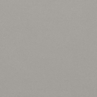 Picture of Johnsonite - Solid Colors Leather Silver Grey