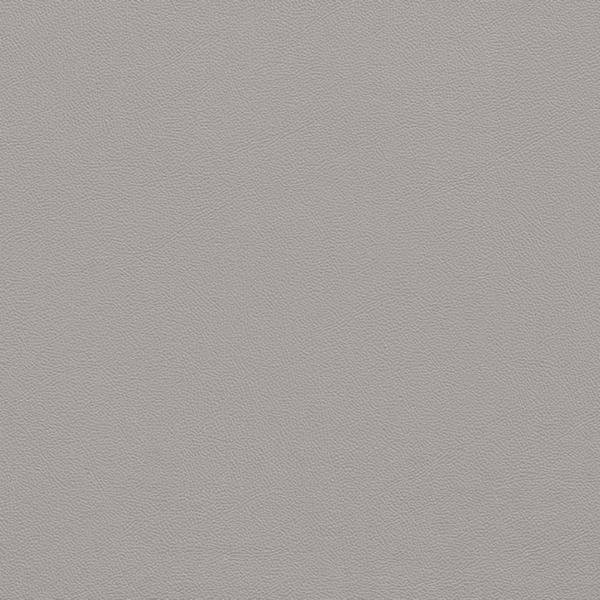 Picture of Johnsonite - Solid Colors Leather Silver Grey