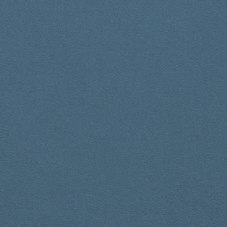 Picture of Johnsonite - Solid Colors Leather Windsor Blue