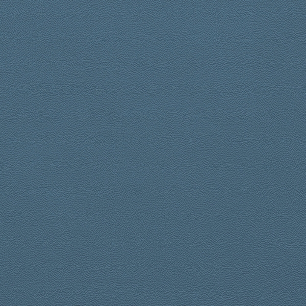 Picture of Johnsonite - Solid Colors Leather Windsor Blue