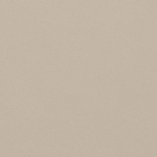 Picture of Johnsonite - Solid Colors Leather Zephyr