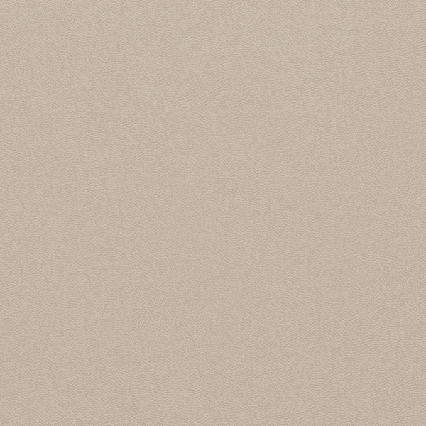 Picture of Johnsonite - Solid Colors Leather Zephyr