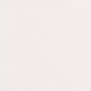 Picture of Johnsonite - Solid Colors Rice Paper Mist