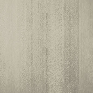 Picture of Johnsonite - Circulinity Fast Lane Clay