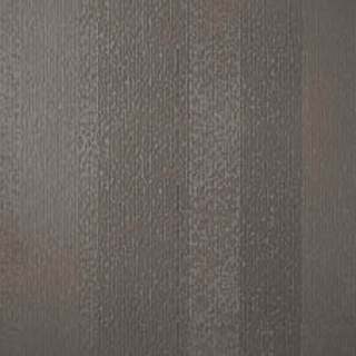 Picture of Johnsonite - Circulinity Fast Lane Moon Rock