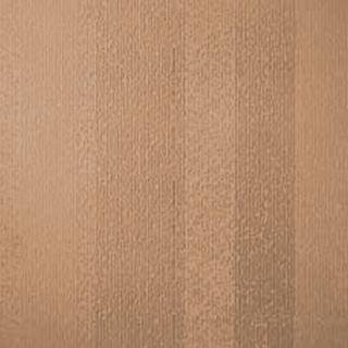 Picture of Johnsonite - Circulinity Fast Lane Sisal