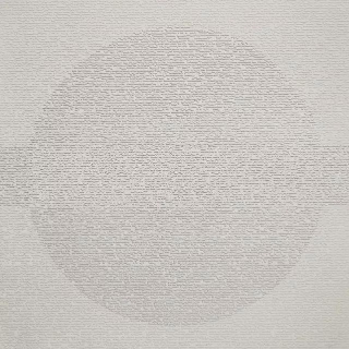 Picture of Johnsonite - Circulinity Round-A-Bout Mist