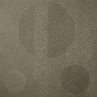 Picture of Johnsonite - Circulinity Tricycle Grizzly