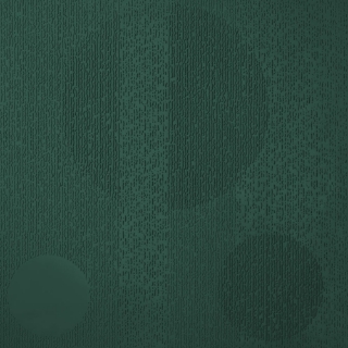 Picture of Johnsonite - Circulinity Tricycle Hunter Green