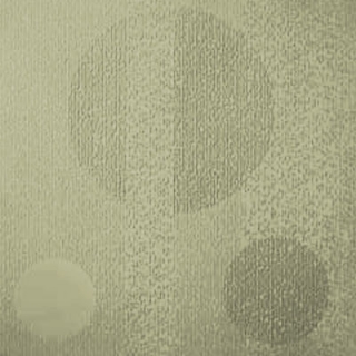 Picture of Johnsonite - Circulinity Tricycle Iguana