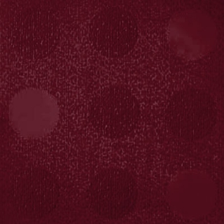 Picture of Johnsonite - Circulinity Tic-Tac-Toe Salsa