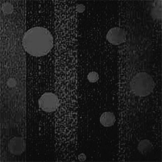 Picture of Johnsonite - Circulinity Effervescent Black