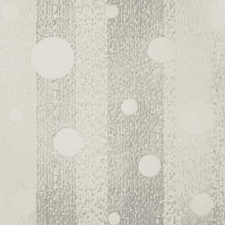 Picture of Johnsonite - Circulinity Effervescent Canvas