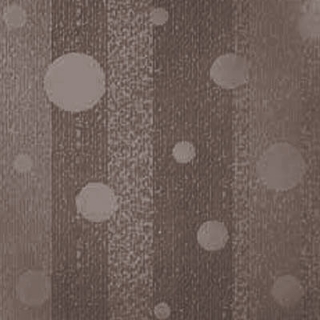 Picture of Johnsonite - Circulinity Effervescent Toast