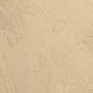 Picture of Johnsonite - Mesto Configurations 12 x 24 Gallant Steed