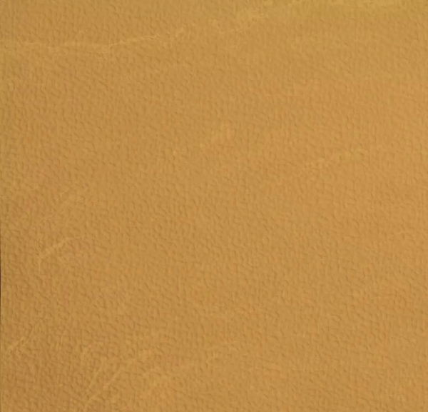 Picture of Johnsonite - Mesto Configurations 6 x 6 Golden Slumber Dark