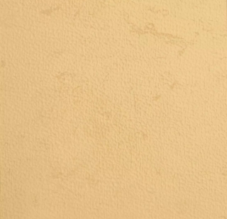 Picture of Johnsonite - Mesto Configurations 6 x 24 Golden Slumber Light