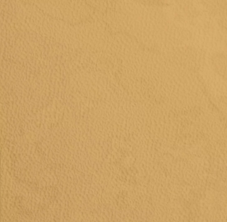 Picture of Johnsonite - Mesto Configurations 6 x 24 Golden Slumber