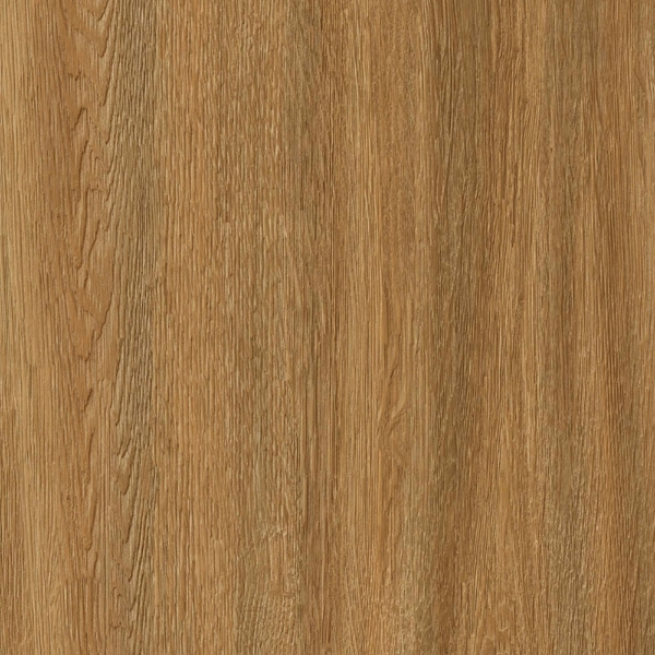 Picture of EarthWerks - Pavilion Elevation