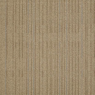 Picture of Philadelphia Commercial by Shaw - Immerse Intensify