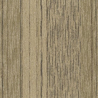 Picture of Philadelphia Commercial by Shaw - Unscripted - Off The Cuff Improvisation